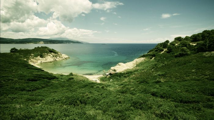 ԸֽͼƬ õҫ۶Ŀ20׸ƻֽ