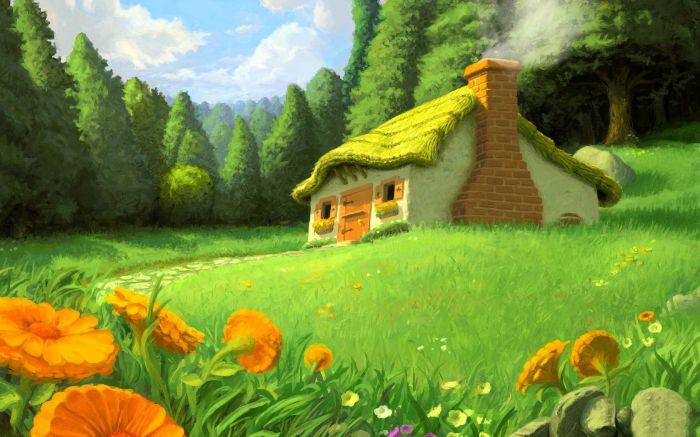 xpֽ   ÿɫλ޹²ݵͼƬֽأ1