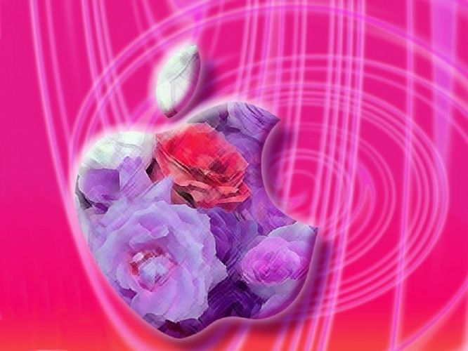 ƻ5ֽ ˮӡQֻֽпϲ