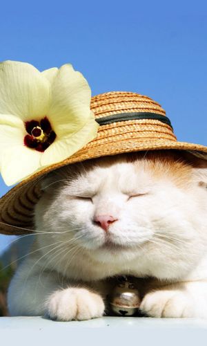 ˮлŮֽ ֽ֮Ըб Ůֽ ֽ 