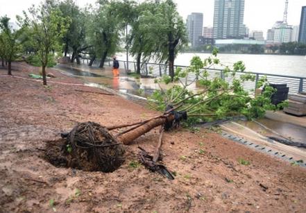 Ӻ衱½ɽ ̨ӺӰ ؽ󵽱