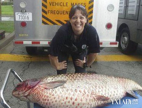 ˮ־ ˮ־ 60˾Ȼûԣ-