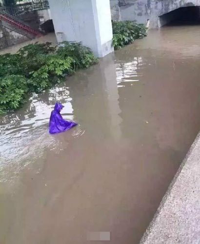 ð 㽭ҽѧԺѧΪ ð2׸ߵĺ