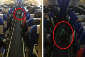 Ůúӻմ ŮӷɻСúںմ