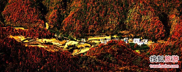 ﴨأϾɽ-ڶ й۹?ȫﴨݡڶϾɽضɹũ