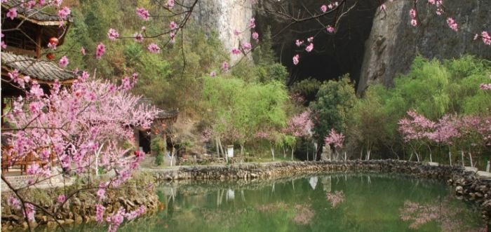 һԴ ׽조һԴɭ־Ƶ걭Աֱܴ칫?ũƵۺƵ