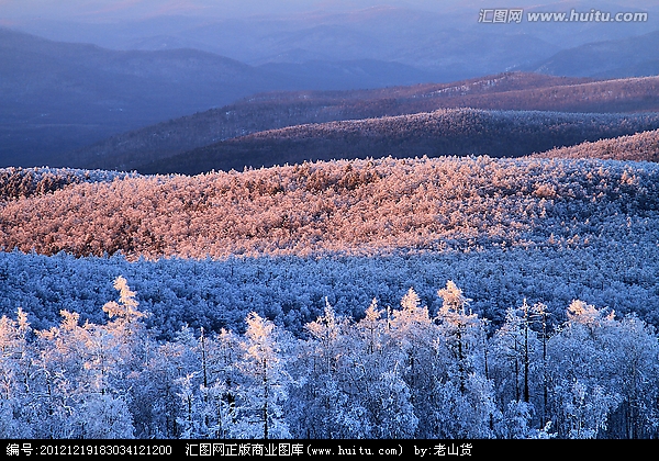 ѩд ϸɼӼկ滨ŭš&quot;滨&quot;