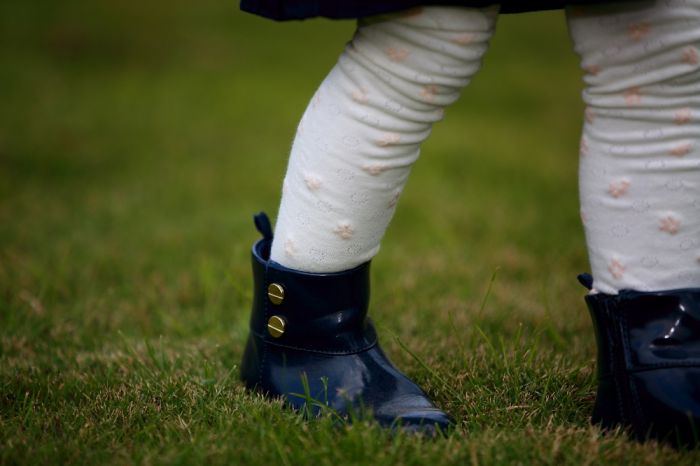 1dx̳ ֲ̰ 1DX Mark II̬Χ